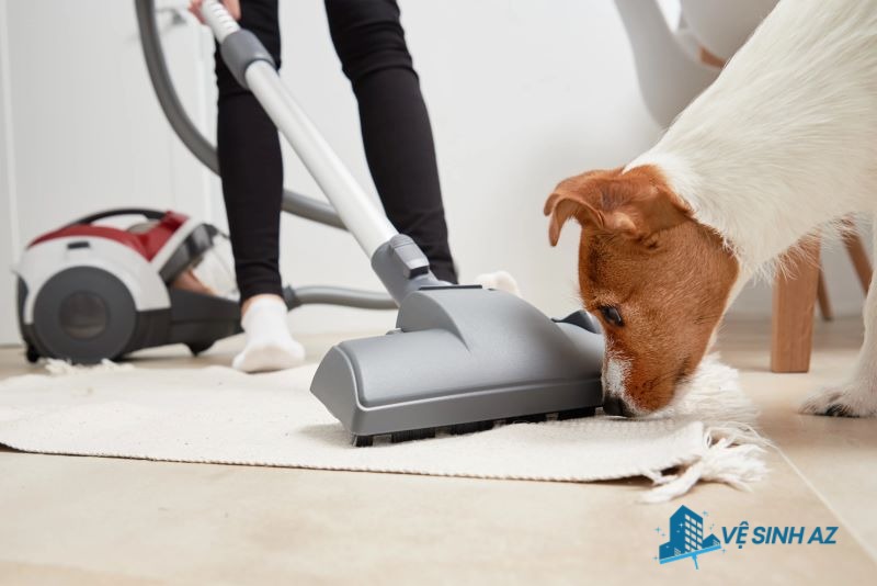 dịch vụ giặt thảm quận Bình Thạnh